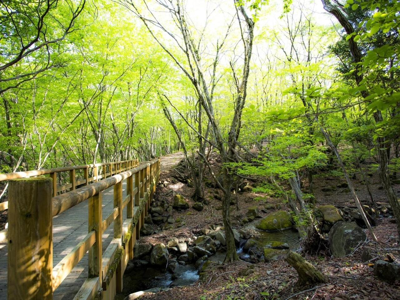 Mineyama Kogen Hotel Relaxia Kamikawa  Dış mekan fotoğraf